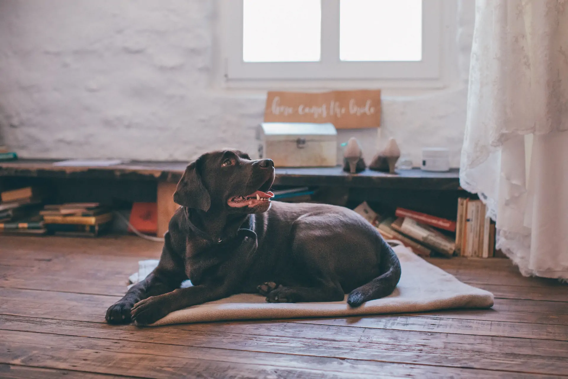 Neimeshof Location Foto 23