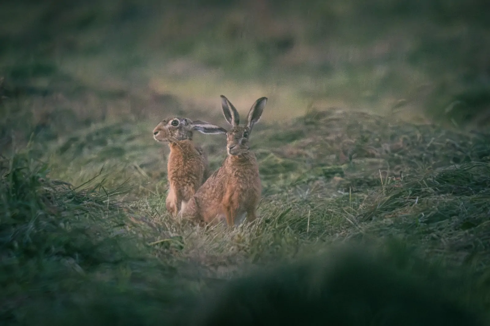 Lösungen für Ihr Bauvorhaben