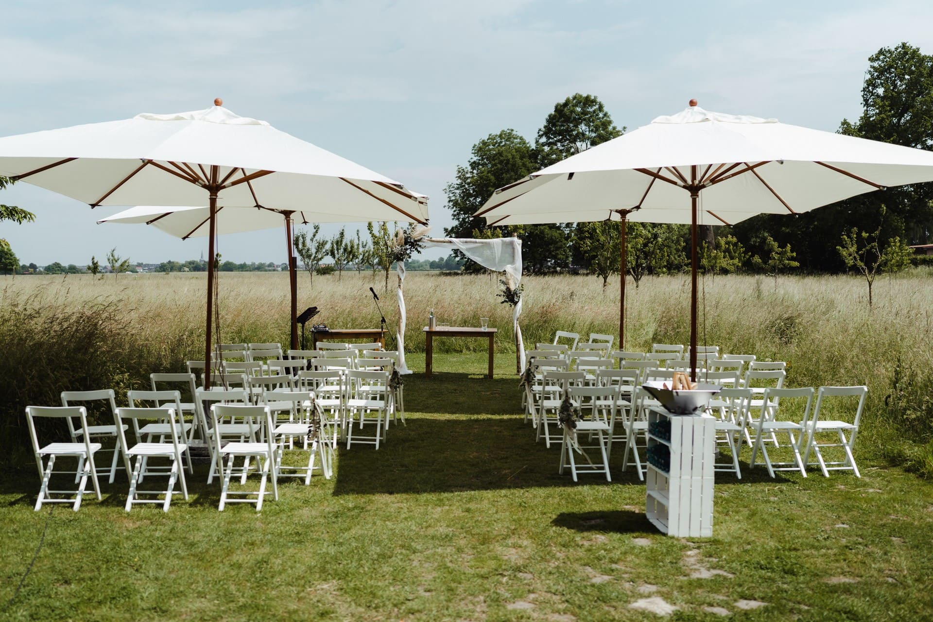 Traubogen Birkenstämmchen 70,00 €